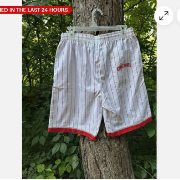 VTG Starter Cincinnati Reds 90s MLB PinStriped Shorts Mens Large White RARE - Picture 2 of 5